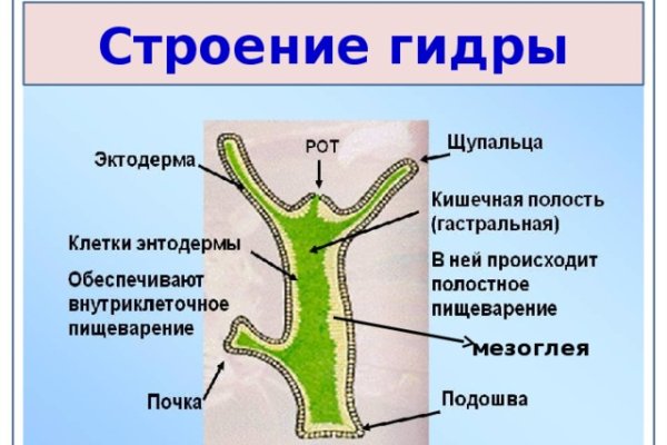 Ссылка на сайт гидра в тор браузере